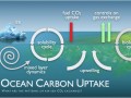 اقیانوس شناسی :: تغییرات آب و هوا چرخه های شیمیایی حیاتی اقیانوس را به هم خواهد زد