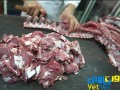 واردات گوشت حیوانات حرام گوشت آزاد شد