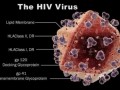 مرکز ملی پیشگیری از ایدز - کشف یک ژن مهم در کنترل انتشار ویروس ایدز در بدن