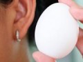 تشخیص تخم مرغ سالم و فاسد - پارسه گرد