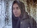 وبلاگ شخصی سارا شرافتی  - بربادر رفته مخصوص درس فارسی عمومی