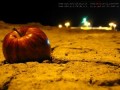 ماجرای عطر سیب حرم امام حسین(ع) چیست؟ | شبکه وبلاگی آستان رضا علیه السلام