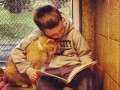 پناهگاه گربه ها و عکس هایی از کتاب خواندن کودکان برای گربه ها