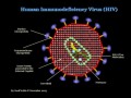 مرکز ملی پیشگیری از ایدز ایران - ابداع روش جدید ژن درمانی برای مقابله با ویروس اچ آی وی