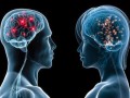 تحقیقات درباره تفاوت مغز مردها و زنان