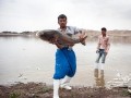 تصاویر: مرگ ۲ میلیون ماهی در سد فشافویه تهران