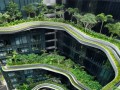 سفری رویایی به باغ آسمانی در سنگاپور | میهن بنا