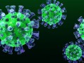 سندروم تنفسی خاورمیانه مرس و کرونا ویروس از نگاه سازمان بهداشت جهانی