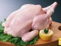 توصيه هاي مهم و اساسي در استفاده از مرغ - هفت گنج