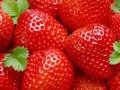 توت فرنگی،میوه ای مقوی و مغذی! | پژوهشکده
