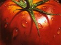 گوجه فرنگی،میوه ای سرخ رنگ و آبدار! | پژوهشکده