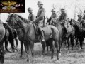 حضور اسب ها در جنگ جهانی دوم
