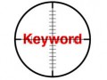 ارزیابی کلمات کلیدی وب سایت