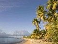 زیباترین سواحل دریای کارائیب