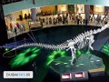 دایناسور دبی   عکس و اطلاعات کامل دایناسور دبی