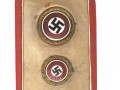 نشان طلایی حزب نازی