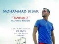 موزیک ویدیو جدید محمد بیباک تنهام ۲