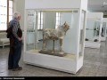 تصاویر زیبای موزه ایران باستان - مجله اينترنتي وبگفتار