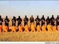 داعش ۱۱ نیروی بسیج مردمی را اعدام کرد   تصاویر