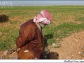 داعش دو پیرمرد سوری را اعدام کرد   تصاویر