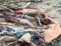 کشته شدن بیش از ۴۰۰۰ نفر در حملات عربستان به یمن