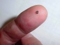 کوچکترین بلبرینگ شیار عمیق جهان