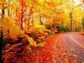 عکس های زیبای پاییزی برای دسکتاپ
