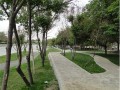 ارتقای سرانه فضای سبز منطقه سه در ایام دهه غدیر
