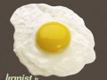 آیا سفیده تخم مرغ مفید است ؟