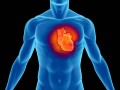 حمله قلبی - دکتر محمد حسین نجفی | متخصص قلب و عروق