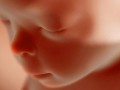 سلامت بانوان اوما-از خاطرات یک جنین!