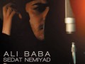 آهنگ جدید علی بابا به نام صدات نمیاد   تکست