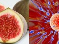 سلامت بانوان اوما-افزایش قوای جنسی با این میوه خوشمزه