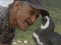 عشق پدر و فرزندی مرد برزیلی و پنگوئن به یکدیگر(تصاویر)