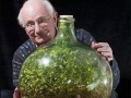 سمیرلو! رشد ۴۰ ساله ی گیاه داخل بطری بدون آب | سمیرلو