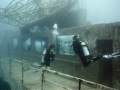 کشتی غرق شده به یک موزه زیر آب تبدیل شد