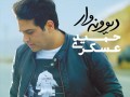 باما موزیک | دانلود آلبوم جدید حمید عسکری به نام دیوونه وار