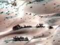 کشف درختان کوچک در سطح سیاره سرخ - روژان