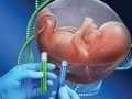 چرا باید برای بچه دار شدن آزمایش ژنتیک بدهیم؟