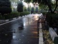 شهری به رنگ باران - (باران پاییزی در تهران)