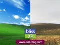 حقایقی درباره تصویر bliss در ویندوز XP