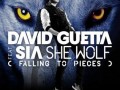 دانلود آهنگ جدید خارجی: david guetta ft sia - she wolf