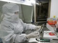 محققان ایرانی موفق به تولید «چسب فیبرینی» از «خون بند ناف» شدند