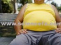 تمایل مغز به چاقی علت سخت بودن وزن کم کردن است - sciencefa.com  : sciencefa.com