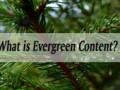 محتوای همیشه‌سبز Evergreen Content