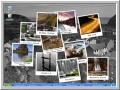 آسان دانلود : لینکدونی : نرم‌افزاری عالی برای تغییر اتوماتیک عکس پس زمینه ( وال پیپر ) ویندوز