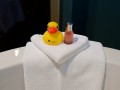 اردک حمام ، یک پیام مارکتینگ سرگرم‌کننده