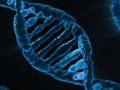 اجرای طرح ژنوم آمریکایی برای درمان سرطان و بسیاری از بیماری‌ها | نیکو