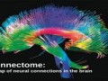 بررسی اثرات دارو و محرک‌های خارجی روی بهبود توانمندی شناختی مغز