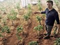 کشت گیاهان در خاک شبیه‌سازی شده ماه و مریخ - روژان